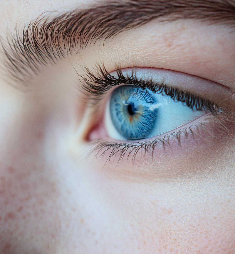 3. Sharper Eyes, Less Strain